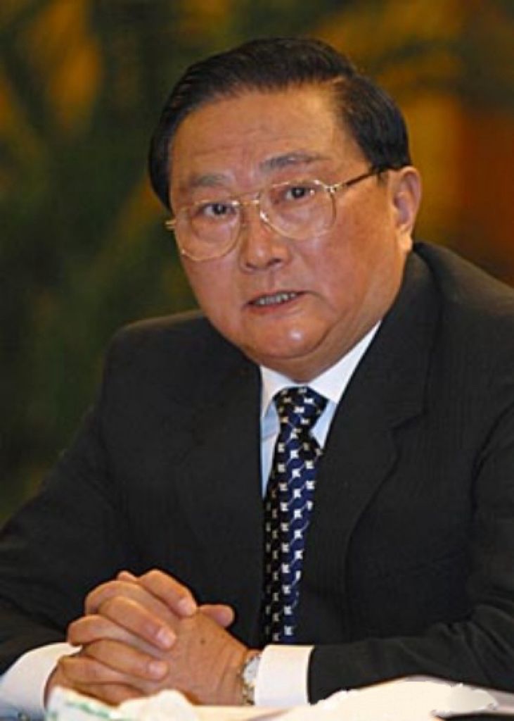 酷吏 罗干 - 在野党
