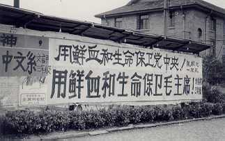 十年浩劫