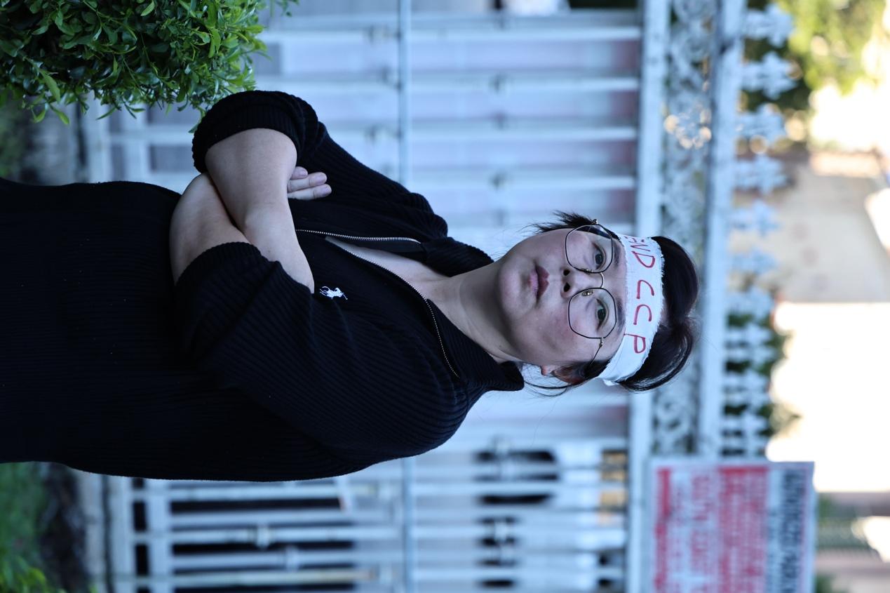 参加白纸运动纪念三周年有感